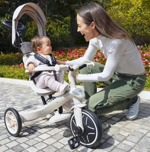 Explorer Trike Series