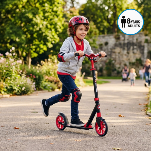 Globber NL 205 - Big 2 Wheeled Foldable Scooter